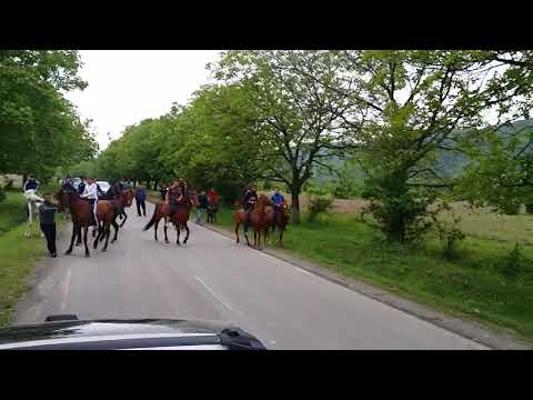 Скачки в Панкиси. Horse racing in Pankisi. დოღი პანკისში. #pankisi #პანკისი #панкиси